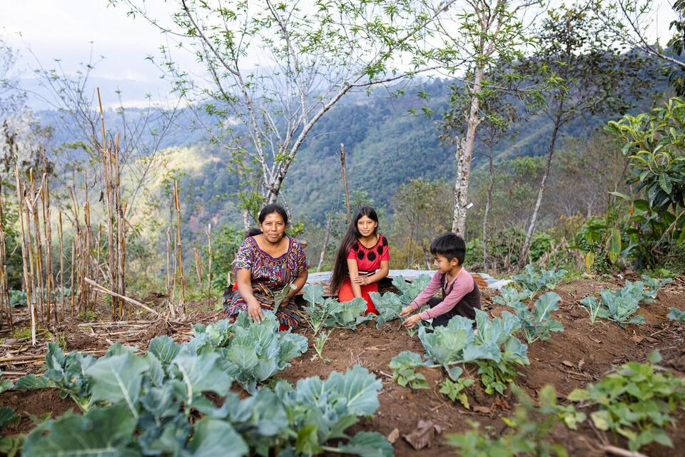 A woman and her family in Guatemala go to their vegetable garden.