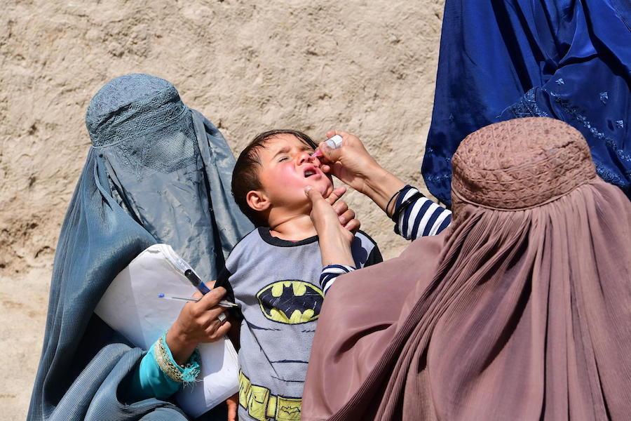 In Kandahar, Afghanistan, a boy is given oral polio vaccine by UNICEF-supported polio vaccinators. 