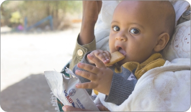 An infant held by a parent, eats a biscuit.