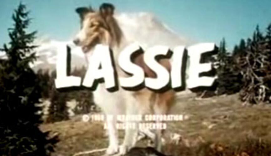 A freezeframe of the title of the TV Show, Lassie, Trick-or-Treat for UNICEF’s first TV appearance! Lassie barks in approval.