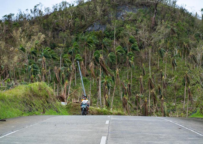 More than a week after Super Typhoon Rai battered Dinagat Island, the grass has started to grow and the trees that managed to stay upright have sprouted new leaves. It may take years, however, for the coconut trees to recover and bear fruit again.