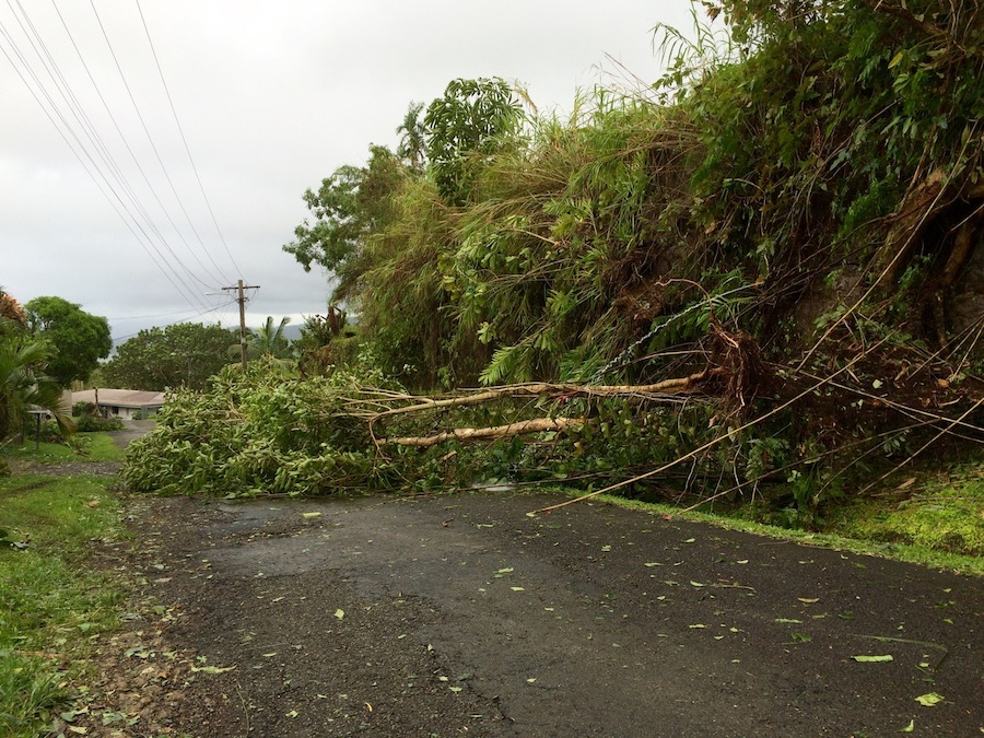 Downed trees are a common sight across Fiji in the aftermath of Cyclone Winston. UNICEF stands ready to assist in humanitarian response to help children and families.