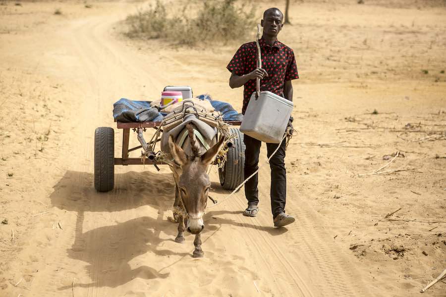 Mamadou Kassé, 29, a vaccinator at the Sofara community health center, travels by donkey cart with vaccines for miles to reach the remote Kankelena village, where families are waiting with their children. The use of mobile vaccinators to reach vulnerable 