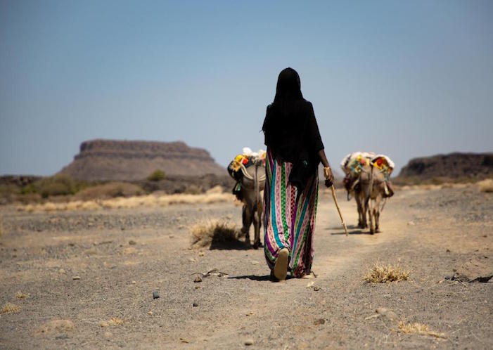 A woman walks with livestock in Afar in northern Ethiopia.
