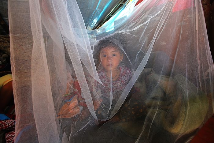 In Brazil, UNICEF and its partners are distributing mosquito nets to childrfen and families like this one that is protecting a girl in Nepal