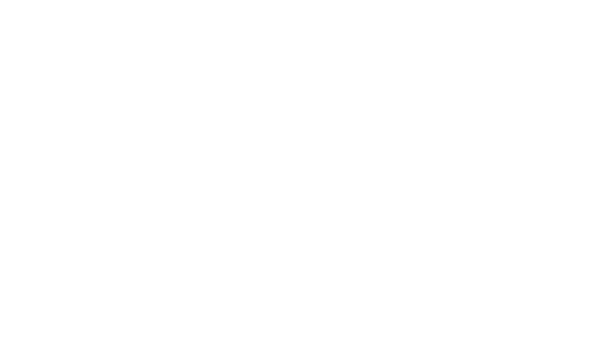 VISA Foundation Logo