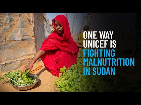 Thumbnail for video Home Gardens, Healthier Foods: One Way UNICEF Is Fighting Malnutrition in Sudan