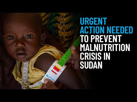 Thumbnail for video Urgent Action Needed to Prevent Malnutrition Crisis in Sudan