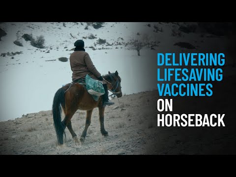 Thumbnail for video Delivering Lifesaving Vaccines on Horseback