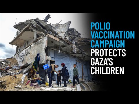 Thumbnail for video Polio Vaccination Campaign Protects Gaza's Children
