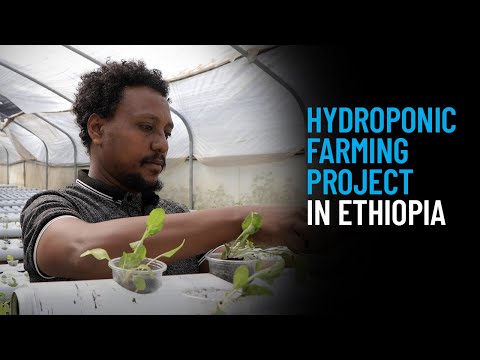 Thumbnail for video UNICEF Backs Innovative Farming Project To Help Address Child Malnutrition in Ethiopia