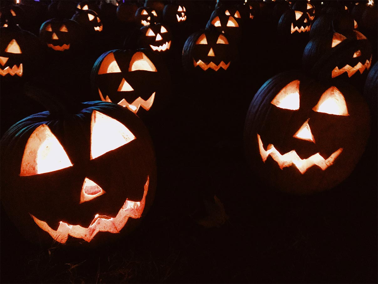 Smiling jack-o-lanterns in a dark pumpkin patch