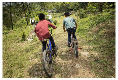 Backview of two boys riding their bikes
