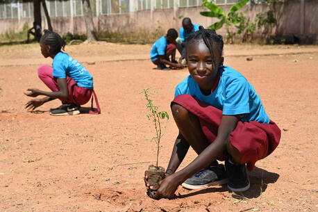 A student at the Public School of Champions, in Garoua, north Cameroon, plants a tree in the school playground.