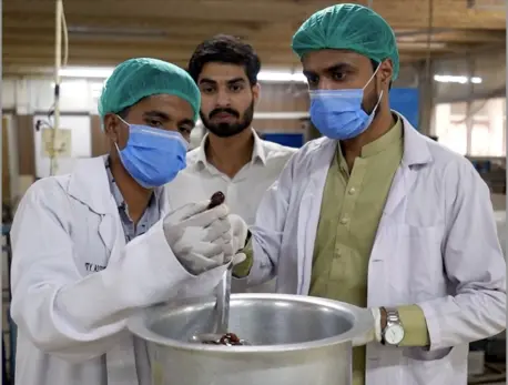 University students in Faisalabad created a start-up, Royella Foods, to combat waste in Pakistan's date industry.