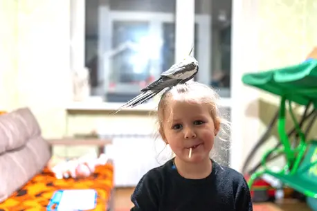 In Balakliia, Ukraine, 3-year-old Katya smiles as a pet bird rests on her head.