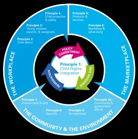 Infographic showing virtuous cycle when integrating children's rights into business principles.