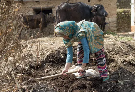 Geeta Thapa Magar, 17, works in field outside her damaged house in Puranagaun village in Ramechhap, one of the 14 most earthquake affected districts in Nepal.
