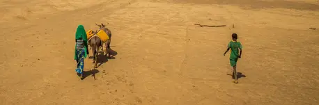 Person and Animals Walking in Desert