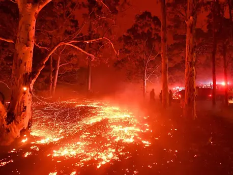 Burning embers cover the ground as firefighters battle against bushfires around the town of Nowra in the Australian state of New South Wales on December 31, 2019. Burning embers cover the ground as firefighters battle against bushfires around the town of Nowra in the Australian state of New South Wales on December 31, 2019.