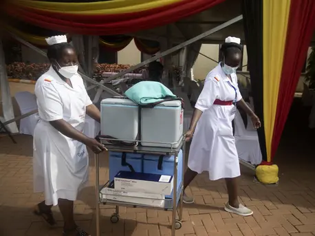 Health workers move vaccine cooler boxes to vaccination points at the official launch of COVID-19 vaccination efforts in Uganda at Mulago National Referral Hospital on March 10, 2021. Health workers move vaccine cooler boxes to vaccination points at the official launch of COVID-19 vaccination efforts in Uganda at Mulago National Referral Hospital on March 10, 2021.