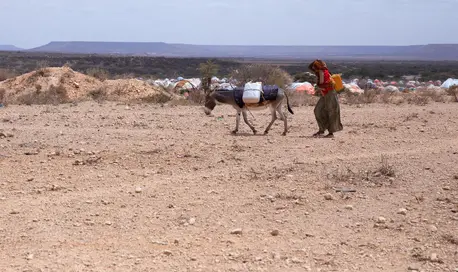 Severe drought in Ethiopia is destroying livelihoods, displacing families and contributing to soaring rates of child malnutrition. Severe drought in Ethiopia is destroying livelihoods, displacing families and contributing to soaring rates of child malnutrition.