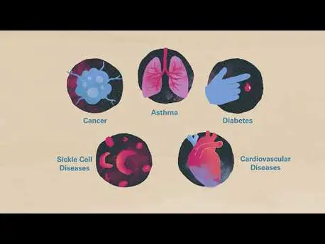 Thumbnail for video What Are Non-Communicable Diseases?