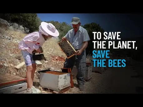 Thumbnail for video To Save the Planet, Save the Bees