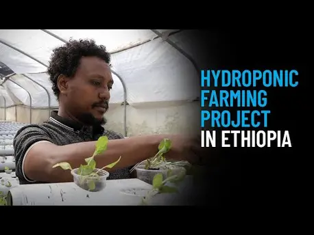 Thumbnail for video UNICEF Backs Innovative Farming Project To Help Address Child Malnutrition in Ethiopia