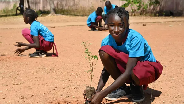 A student at the Public School of Champions, in Garoua, north Cameroon, plants a tree in the school playground.