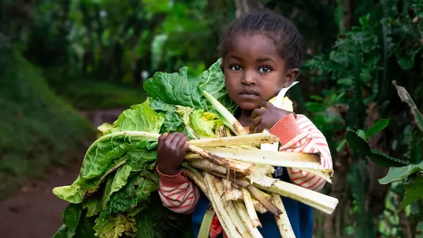 A young girl in the Sidama region of Ethiopia, where UNICEF supports community nutrition programs, holds an armful of fresh leafy vegetables.