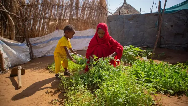Ohag tends to her vegetable garden with help from one of her children at home in Amara village, Refee Kassala locality, Sudan. 