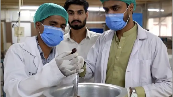 University students in Faisalabad created a start-up, Royella Foods, to combat waste in Pakistan's date industry. 