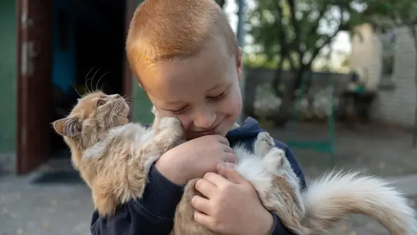 On Oct. 23, 2024 in Khotimlya, Kharkiv region, 5-year-old Andriy plays with a cat near his family’s rented house.