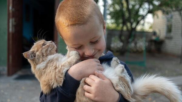 On Oct. 23, 2024 in Khotimlya, Kharkiv region, 5-year-old Andriy plays with a cat near his family’s rented house.