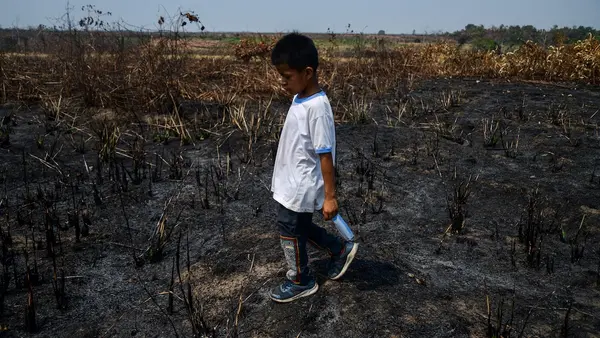 In Peru, a young boy walks through an area devastated by wildfires, a common problem linked to prolonged drought and other environmental factors.
