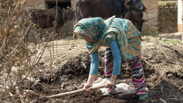 Geeta Thapa Magar, 17, works in field outside her damaged house in Puranagaun village in Ramechhap, one of the 14 most earthquake affected districts in Nepal. 