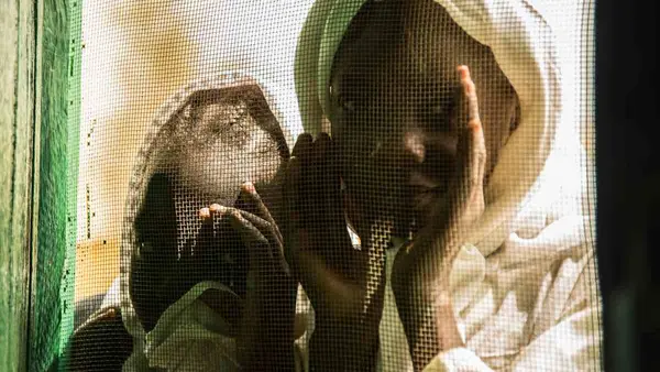 Children Peering Through Window