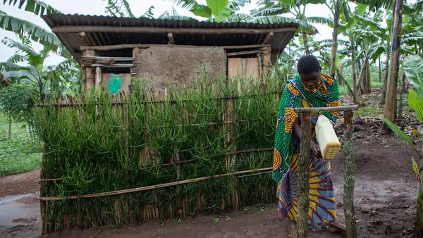Josephine Mukonyezi, 26, washes her hands at a tippy tap outside her family's pit latrine in Mutwe Village, Kamwenge District, Uganda in 2019. She learned about the health benefits of good sanitation through a UNICEF community education program. 