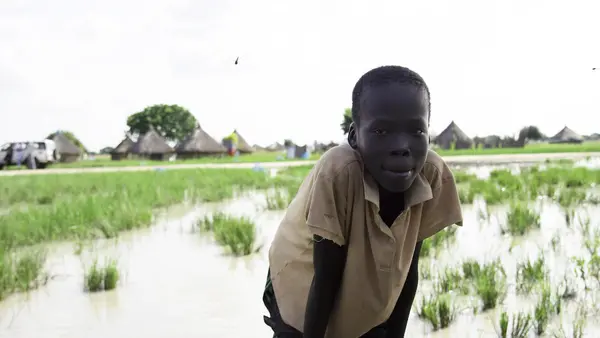 Child Leaning Over with Marsh in Background