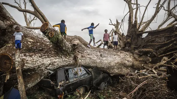 On 29 March 2015, children play on a fallen tree that came down during Cyclone Pam on 13 Marchs 2015 and has crushed a car on the outskirts of Port Vila in Vanuatu.