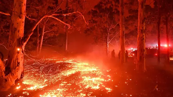 Burning embers cover the ground as firefighters battle against bushfires around the town of Nowra in the Australian state of New South Wales on December 31, 2019.
