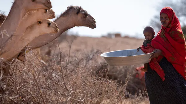 In Ethiopia's Somali region, Hafsa Bedel, mother of six, fears that she will lose more livestock in the coming months because of the long drought.