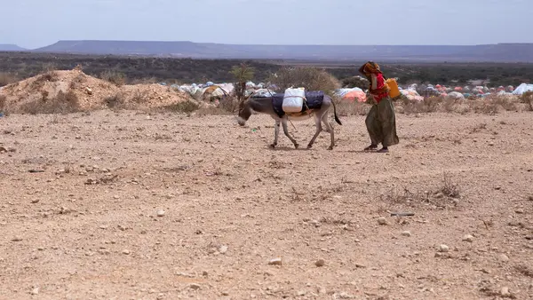Severe drought in Ethiopia is destroying livelihoods, displacing families and contributing to soaring rates of child malnutrition.