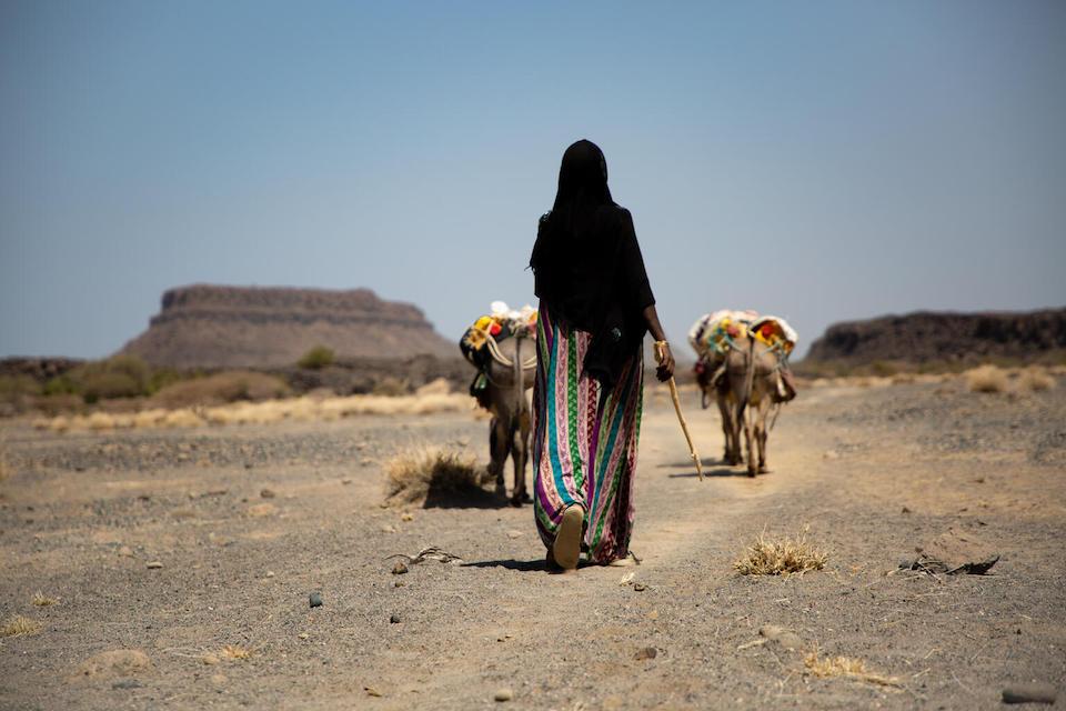A woman walks with livestock in Afar in northern Ethiopia. 