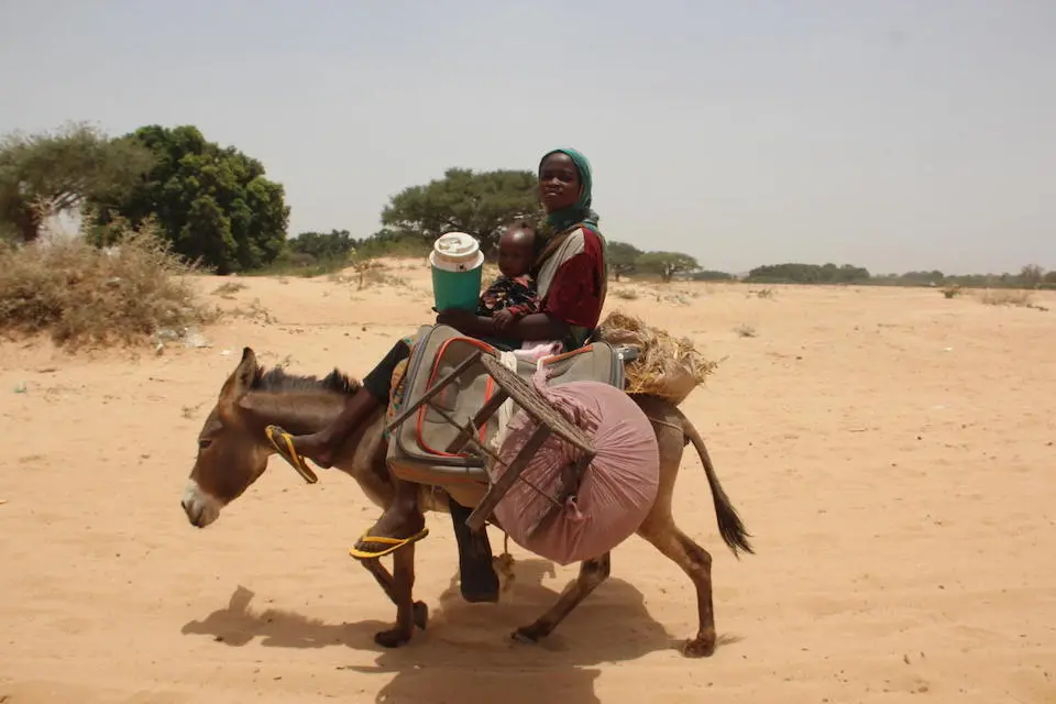 Two refugees fleeing escalating conflict in Sudan arrive in Koufroun, a village on the Chad-Sudan border, on the back of a donkey, part of a constant stream of families and individuals fleeing the violence and shelter under trees and in makeshift camps.