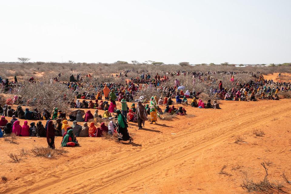 In Hegalle, Somali region in Ethiopia, thousands of men, women and children are sitting in line in the sweltering  heat waiting to be registered and receive humanitarian aid.