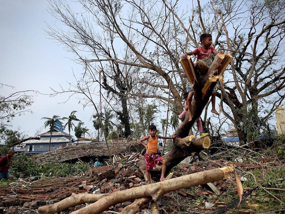 Kids in Sittwe, Rakhine State, Myanmar, climb on trees felled by Cyclone Mocha.