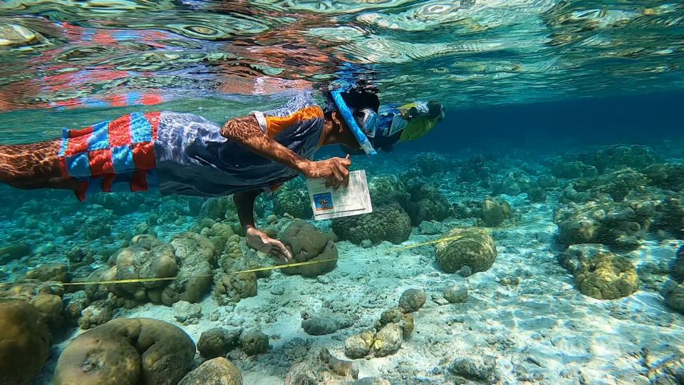 A member of the Muhyiddin Scout Group snorkels over a coral reef near Vilimalé, Maldives, during a routine monitoring expedition.