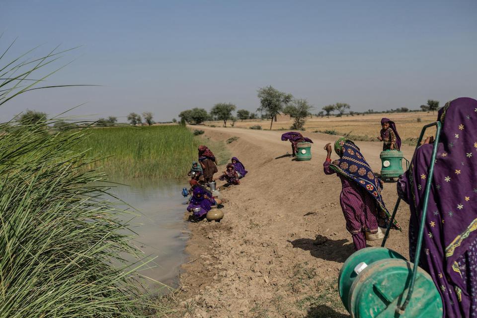 Women fetch water from a pond in Muhammad Pur Ghamand village, South Punjab. The water is contaminated, but they have no other choice.